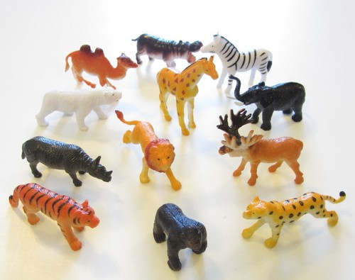 New zoo animals - zoo,